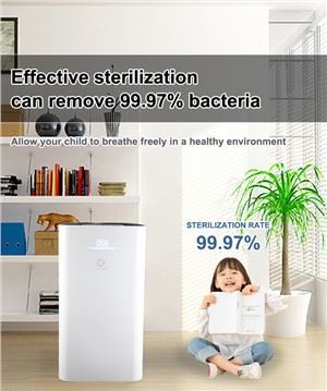 Purificatore d'aria di purezza efficace con 4 stadi
