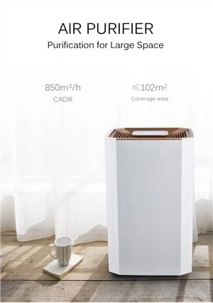 Purificatore d'aria per la protezione dell'ambiente BKJ-80B