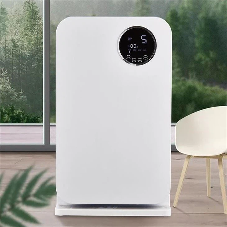 Purificatore d