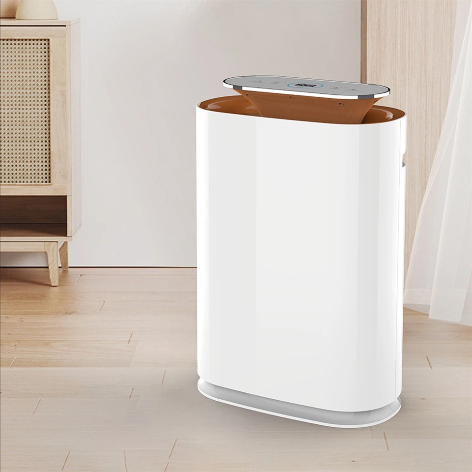 BKJ-300A Purificatore d