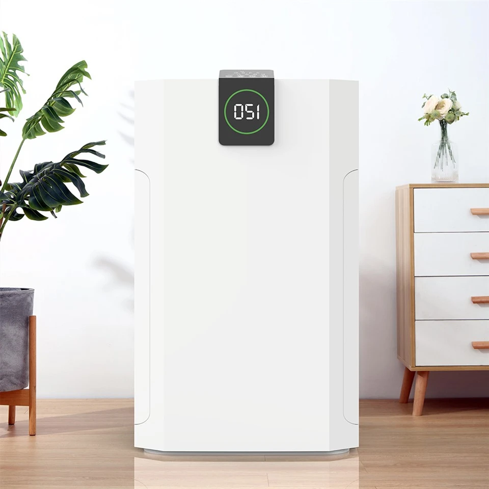 BKJ-80A Purificatore d