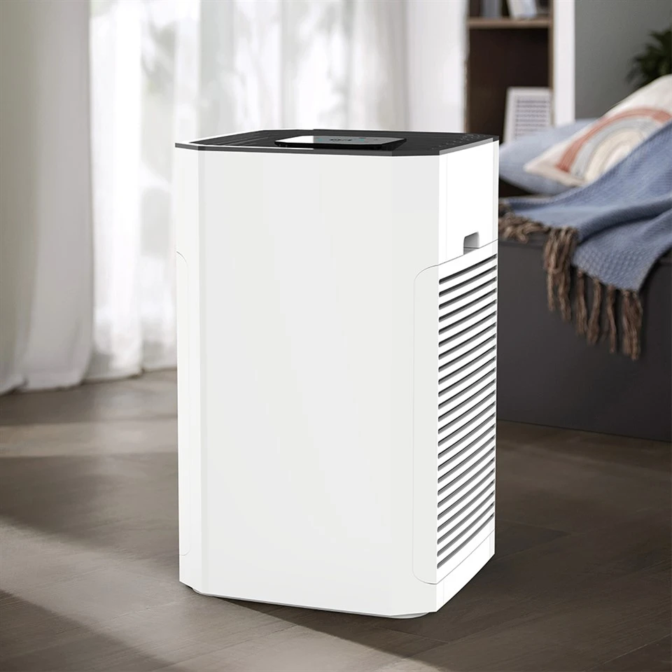 Bkj -80 b High Cadr Commercial Purificatore ad aria grande