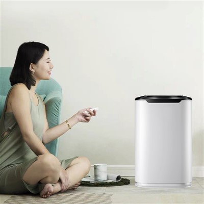 Purificatore d'aria domestico applicato per ambienti centrali BKJ-215C