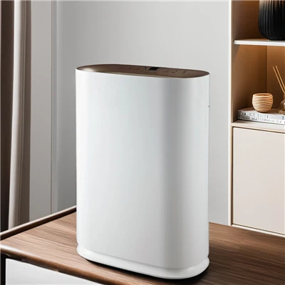 BKJ-300 Anion Hepa Room Air Purifier