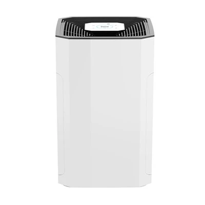 BKJ-80B Purificatore efficiente e conveniente di vendita calda